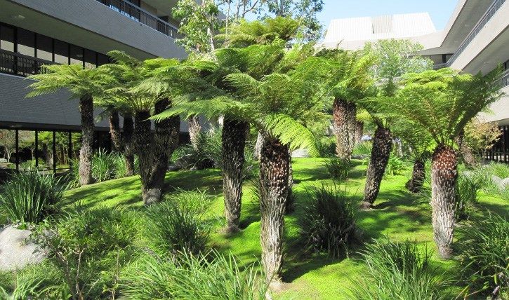 Mariner Court: 3625 Del Amo Blvd, Torrance, CA 90503